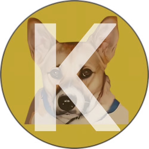 $KEN token artwork